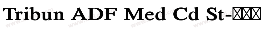 Tribun ADF Med Cd St字体转换 Tribun ADF Med Cd St字体转换